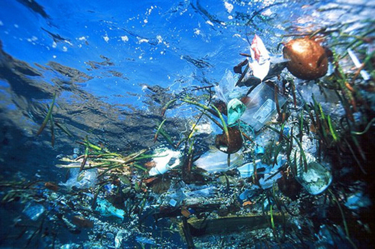 Basura Plásticas en el Mar